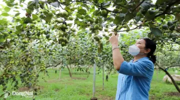 خطوة جديدة إلى الأمام في تطوير الزراعة العضوية.